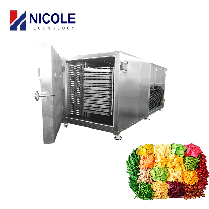 Industrial 380V Fruit Vegetables Food Vacuum Freeze Drying Machine