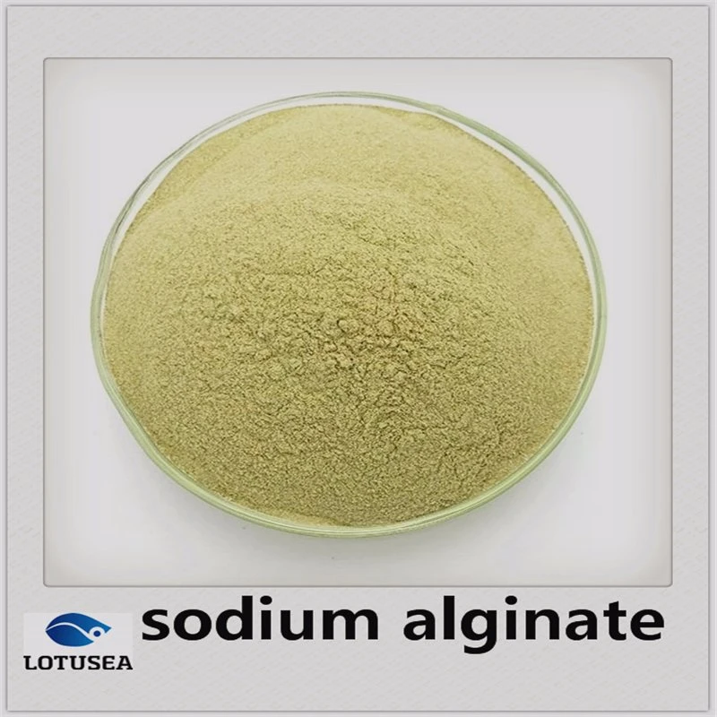 Textile Grade Reactive Dye Sodium Alginate 200cps