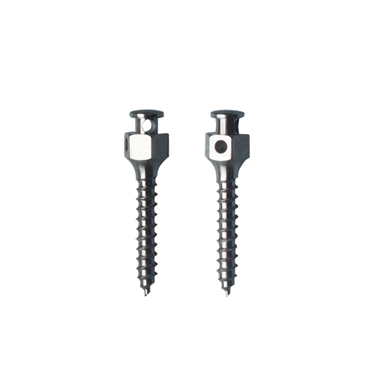 Screw Implant Mini Prosthesis Screw Expansion Screw Dental on Sale