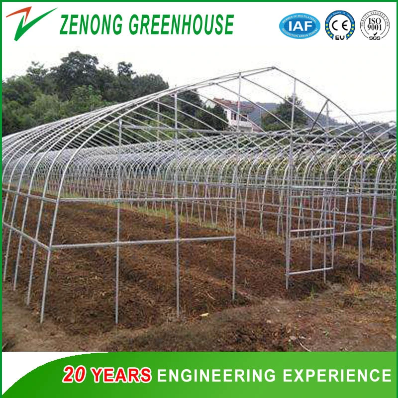 Cherry Greenhouse with Hot Galvanized Steel and Po Film