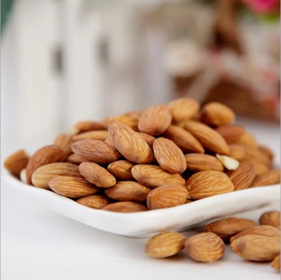 Tian Xing Ren Wholesale/Supplier Health Supplement Herb Dried Sweet Almond Seeds