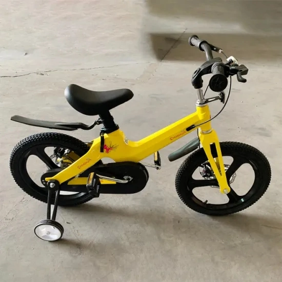 Magnesium Alloy Frame Fresh Design Children Kids Ride on Bike Bicycle Cycling with Training Wheel