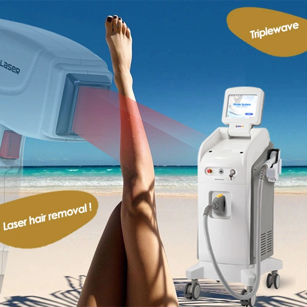 Équipement de beauté laser à diode standard Esthetica 755nm