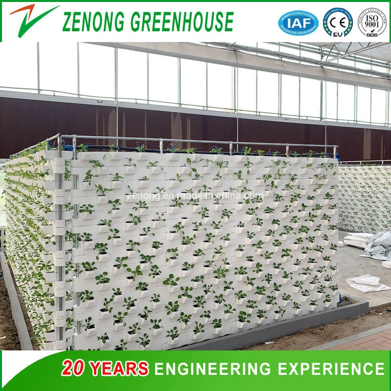 Greenhouse Soilless Cultivation Hydroponics System with Substrate for Vertical Planting for Strawberry/Leafy Vegetables