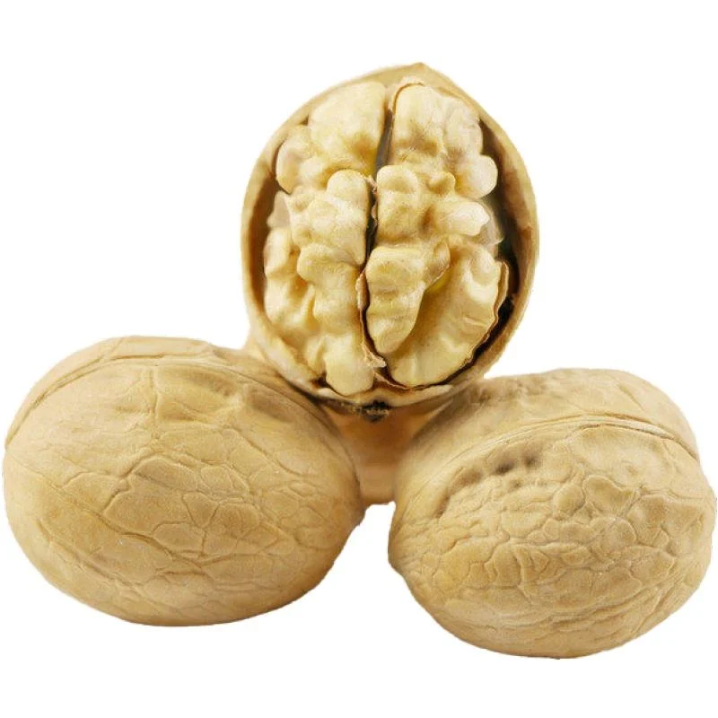 Nature Walnuts Wholesale/Supplier Chinese Paper Shell Walnut