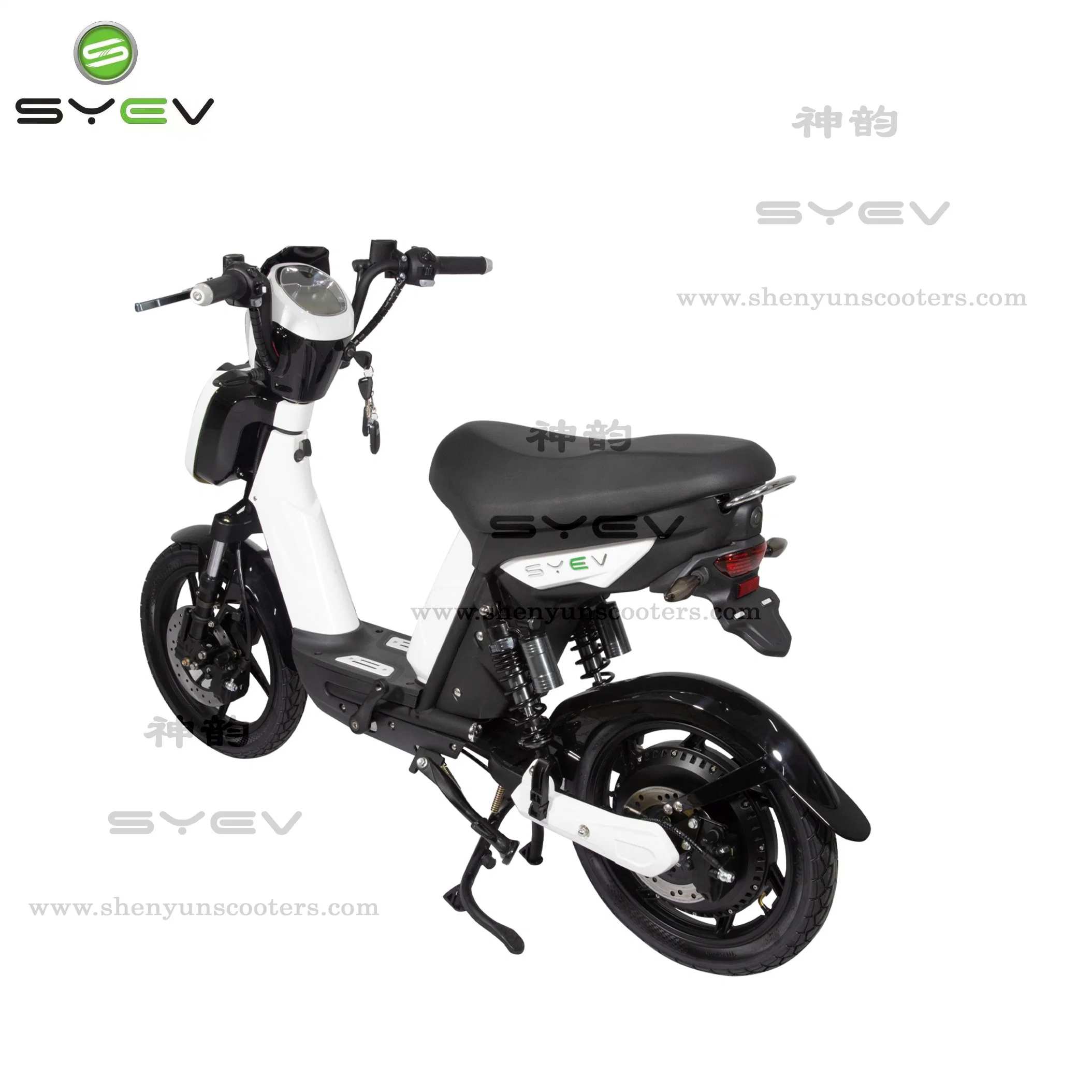 CE/EEC/Coc Shenyun Sy-Lxqs 48V 500W/800W High Performance Steel Motor Scooter Electric Bike with Long Range