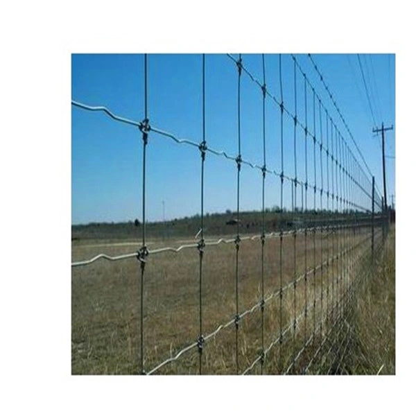 Grassland Fence Cheap Price Galvanized Kraal Network