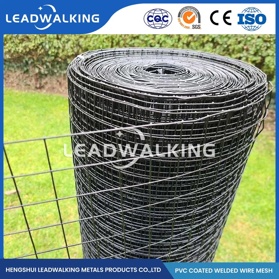 Leadwalking Galvanized Wire Welded 30m Iron Wire Mesh Roll Manufacturing Custom Galvanized Square Mesh Welded Wire Mesh China White PVC Coated Welded Wire Mesh