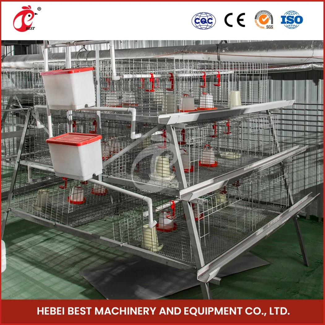 Bestchickencage China Pollo Coop portátil en la fábrica de ruedas un marco Las jaulas automáticas de Broiler de muestra de plegado de muestra de la función temporal de pollo Coop