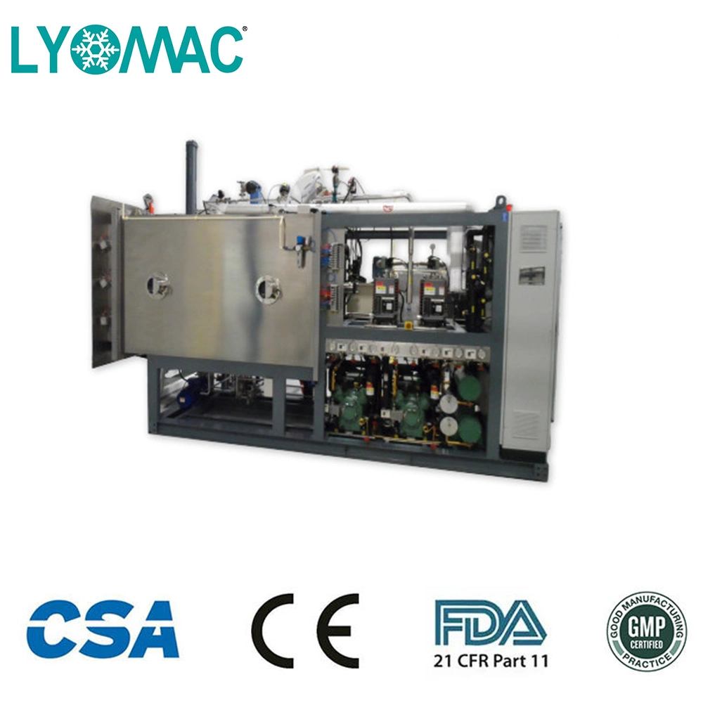 GMP/FDA Complianced Lyotro-10 Freeze Dryer Lyofilizers