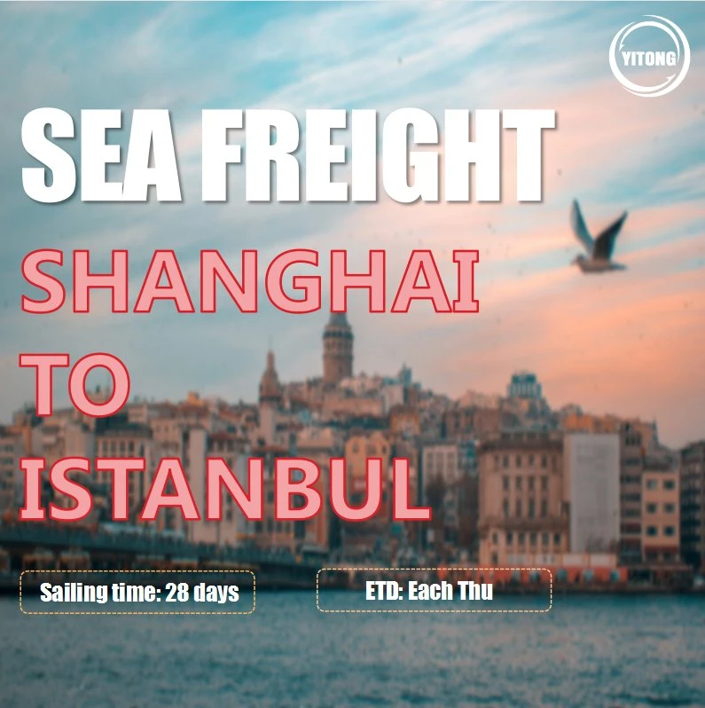 Sea Freight FCL LCL From Qingdao to Istanbul Kumport Ambarli Turkey