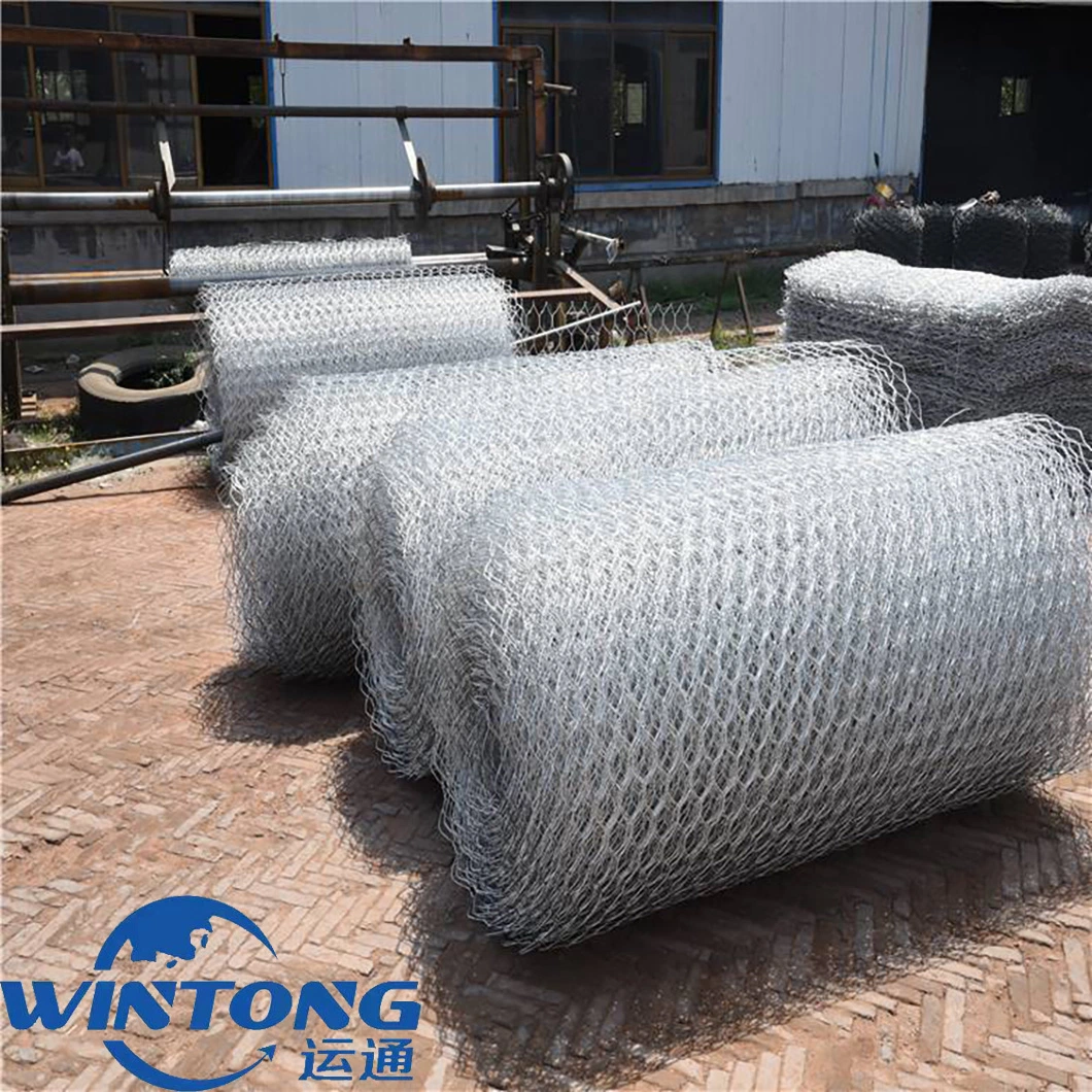 Dam Protection Wire/ Galvanized Low Carbon Steel Wire/Gabion Mesh