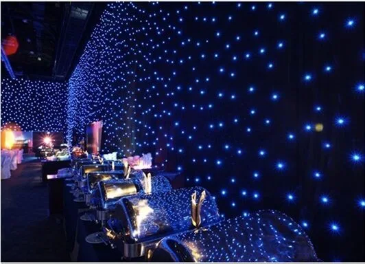 Factory Direct Sale LED High Brightness Lamp Beads Blue and White Color Star Twinkle Curtain