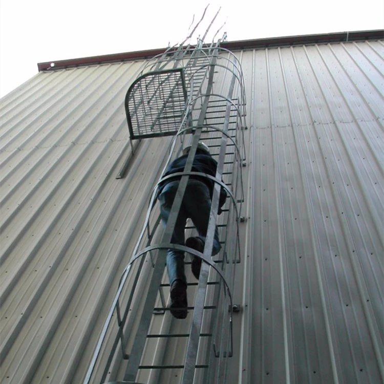 Q355b Metal Tower Internals Steel Structure Cage Ladders