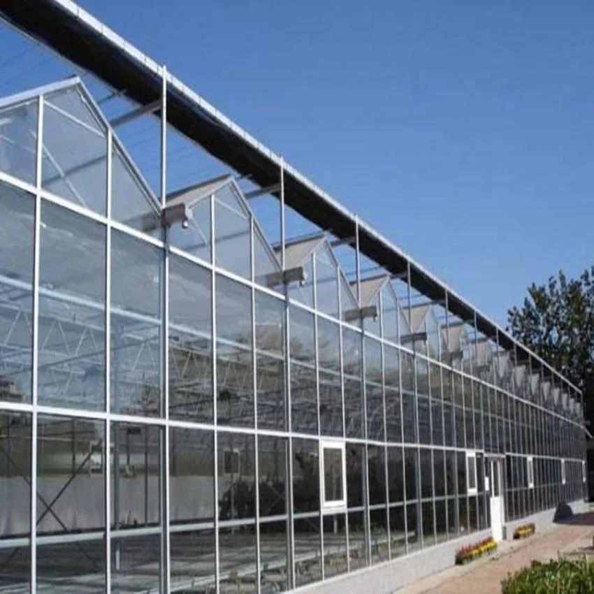 El cultivo/siembra/agricultura/restaurante/exposición/Ciencia de la investigación de gases de efecto cubierto con cristal de 8mm