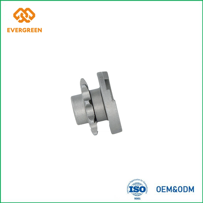 Investment Casting SUS304 Flange