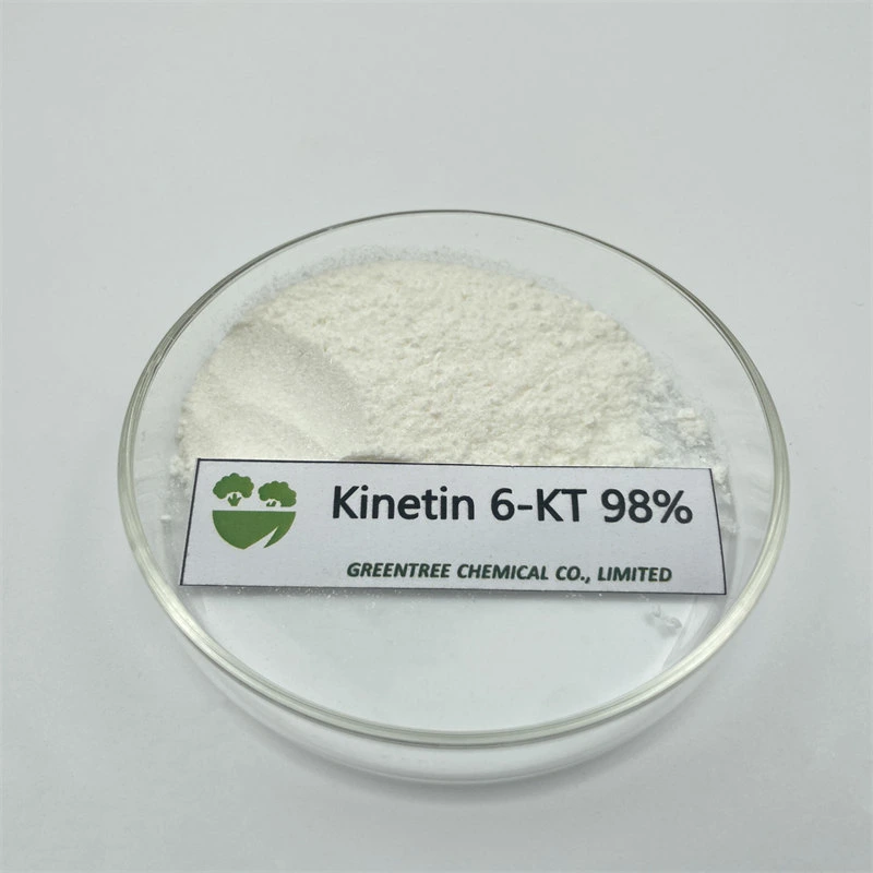 6 L'auxine agrochimique-KT 6kt 98 % de la kinétine cytokinine tc