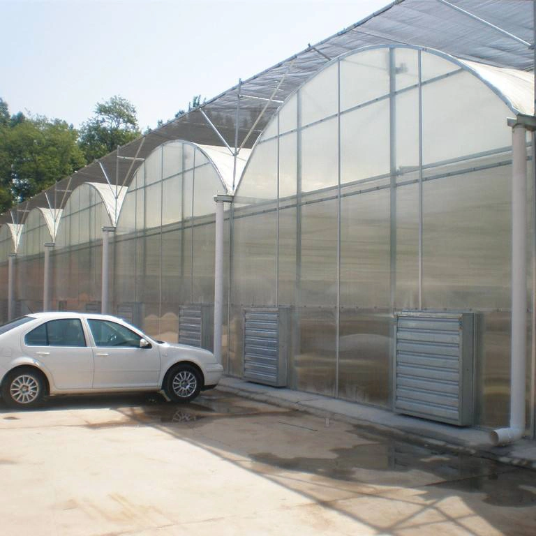 2023 High Performance Agricultural Polycarbonate Greenhouse for Saudi Arabia