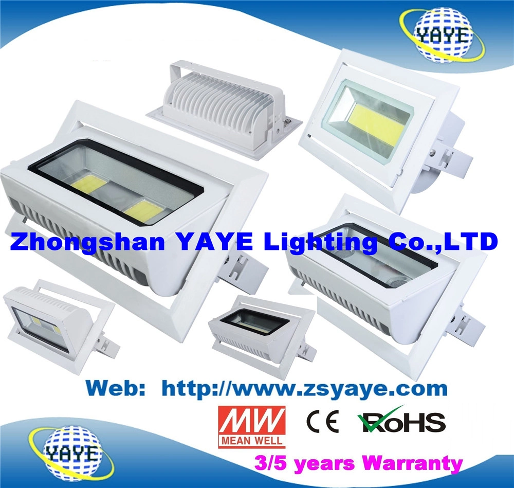 Yaye 18 أفضل جهاز عرض LED طراز COB بقدرة 30 واط معتمد من CE/RoHS Sell / مصباح LED بقوة 30 واط بإضاءة LED /COB بقوة 30 واط بإضاءة LED