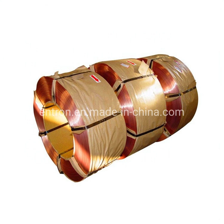 Copper Coated Bead Wire for Making Tire 0.95mm