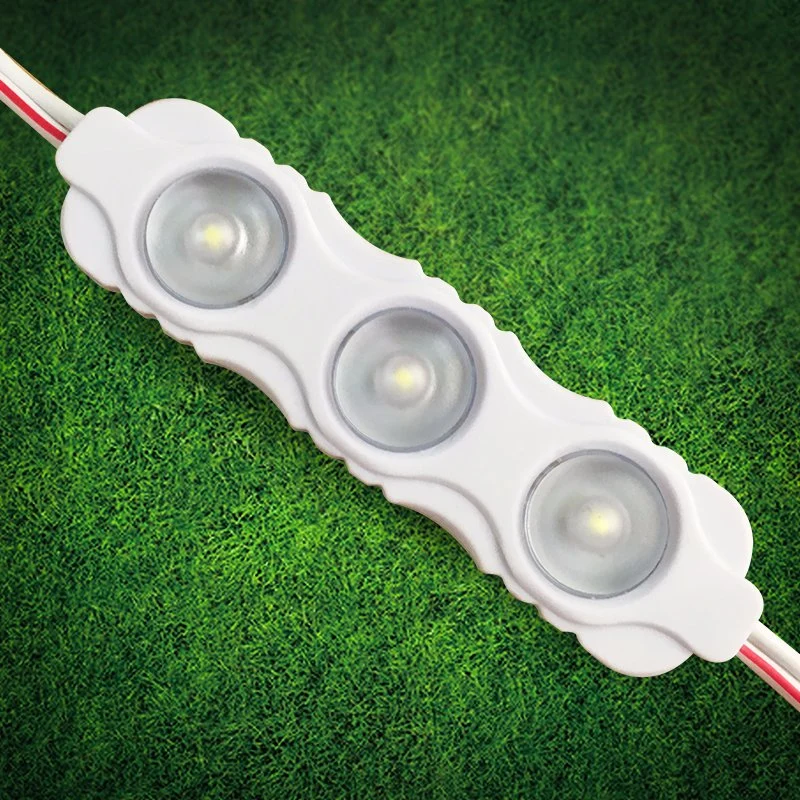 Outdoor Lighting LED Manufacturer 2835 LED Module Indoor Outdoor