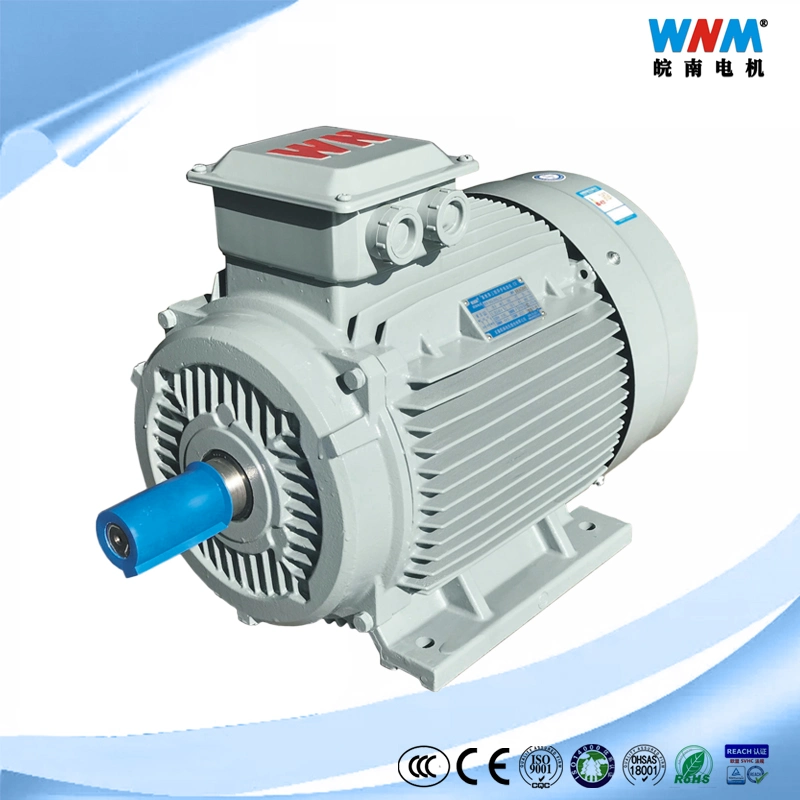 Ye3 Ye4 Siemens Beide 1tl0001 Series Low Voltage High Efficiency Asynchronous AC Induction Electric Motor for Water Pump