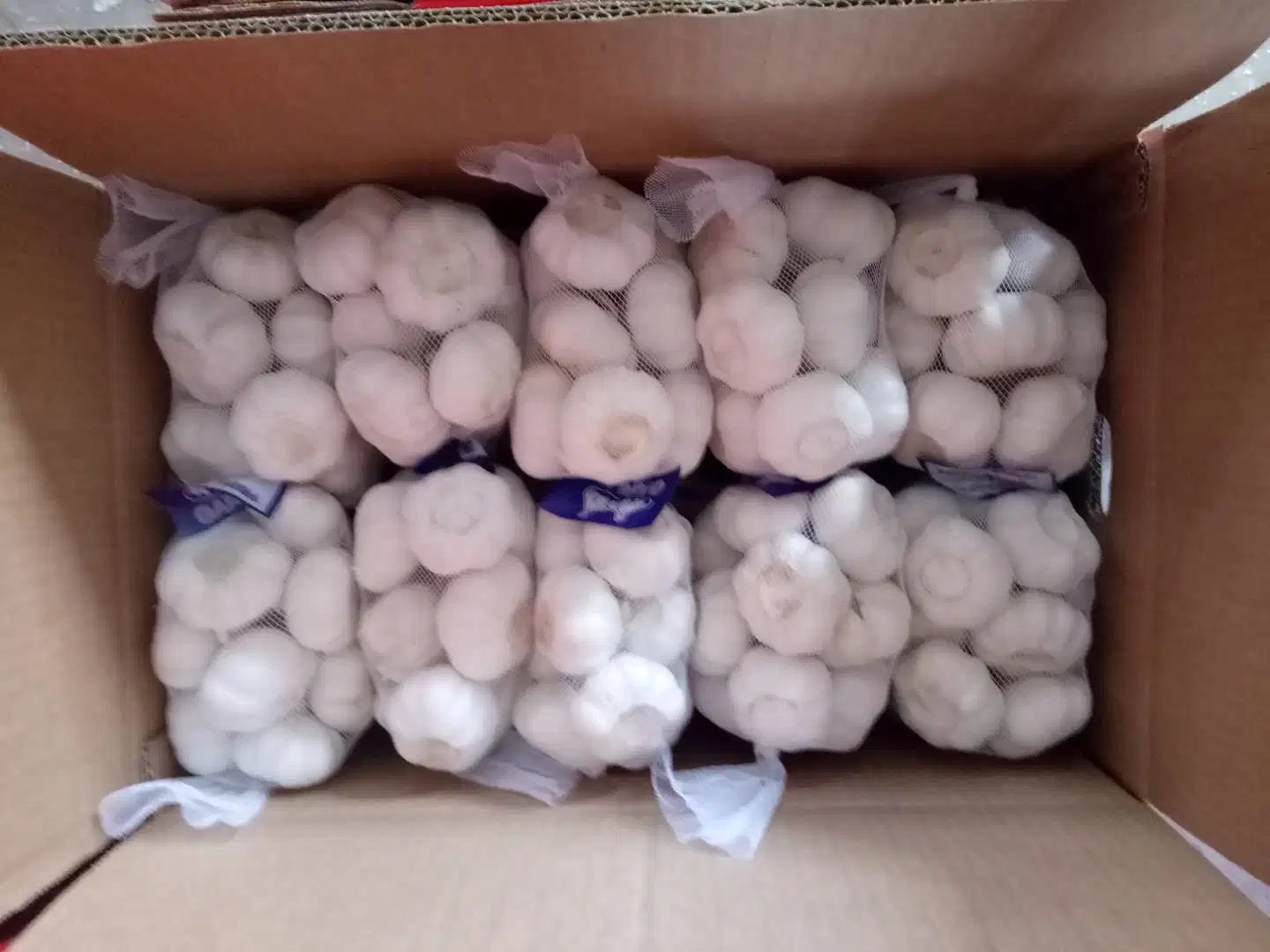 2018 Shandong Fresh White Garlic with Good Price