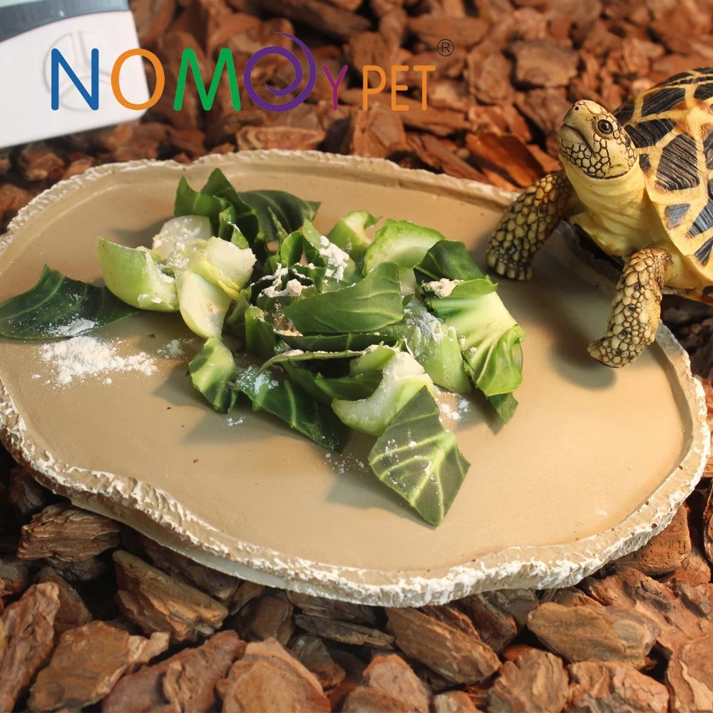 Nomoy Pet Feeder Bowl Basin Resin Non-Toxic Food Water Reptile Food Water Bowl Dish Feeder Reptile Turtle Tortoise Scorpion Lizard Crabs Pets Supplies