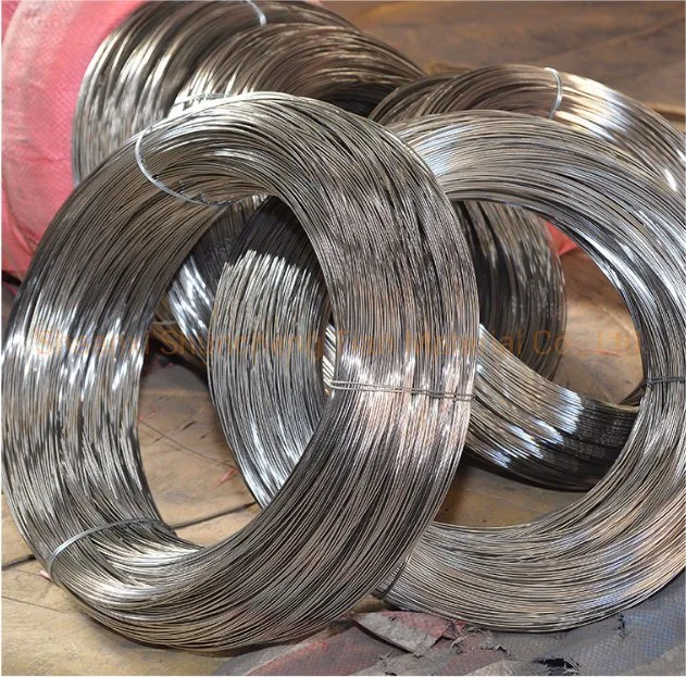 Durable in Use for Nail Making 304 Very Thin Stainless Steel Wire