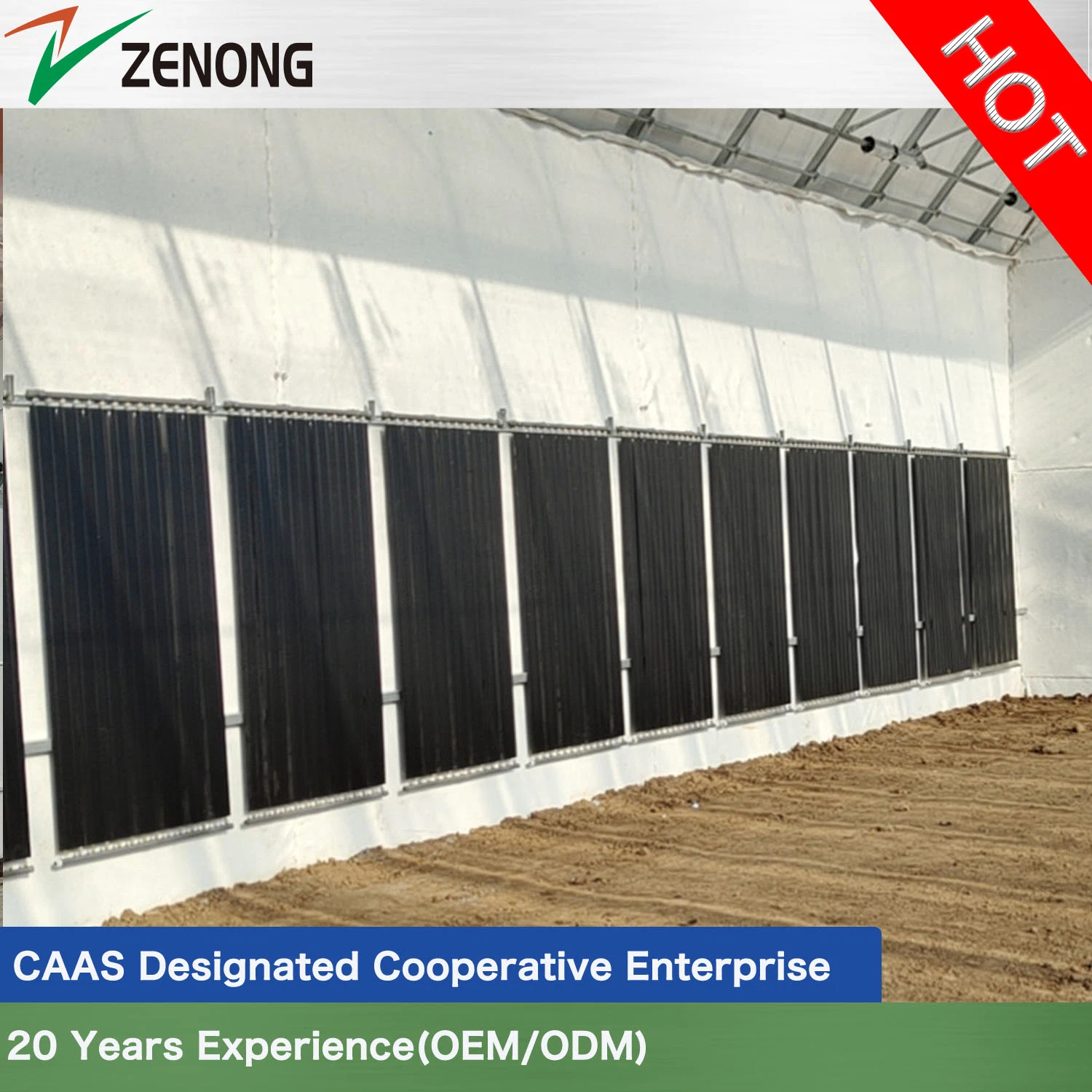 Greenhouse Direct Supply by The Factory with Active Solar Energy Absorbing and Releasing for Winter Vegetable/Flower/Strawberry/Tomato/Cucumber Culture