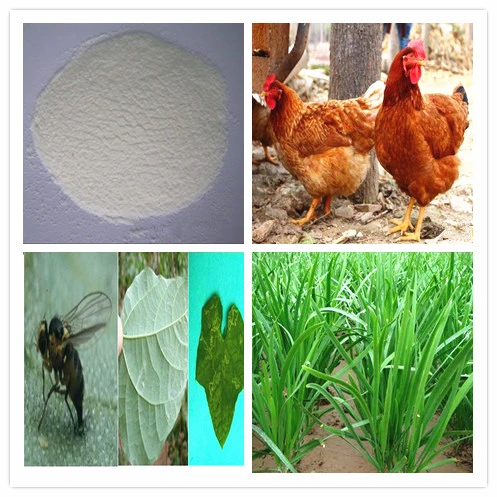 Insecticide Fly Killer Cyromazine 98% Tc 75%Sp for Poultry House