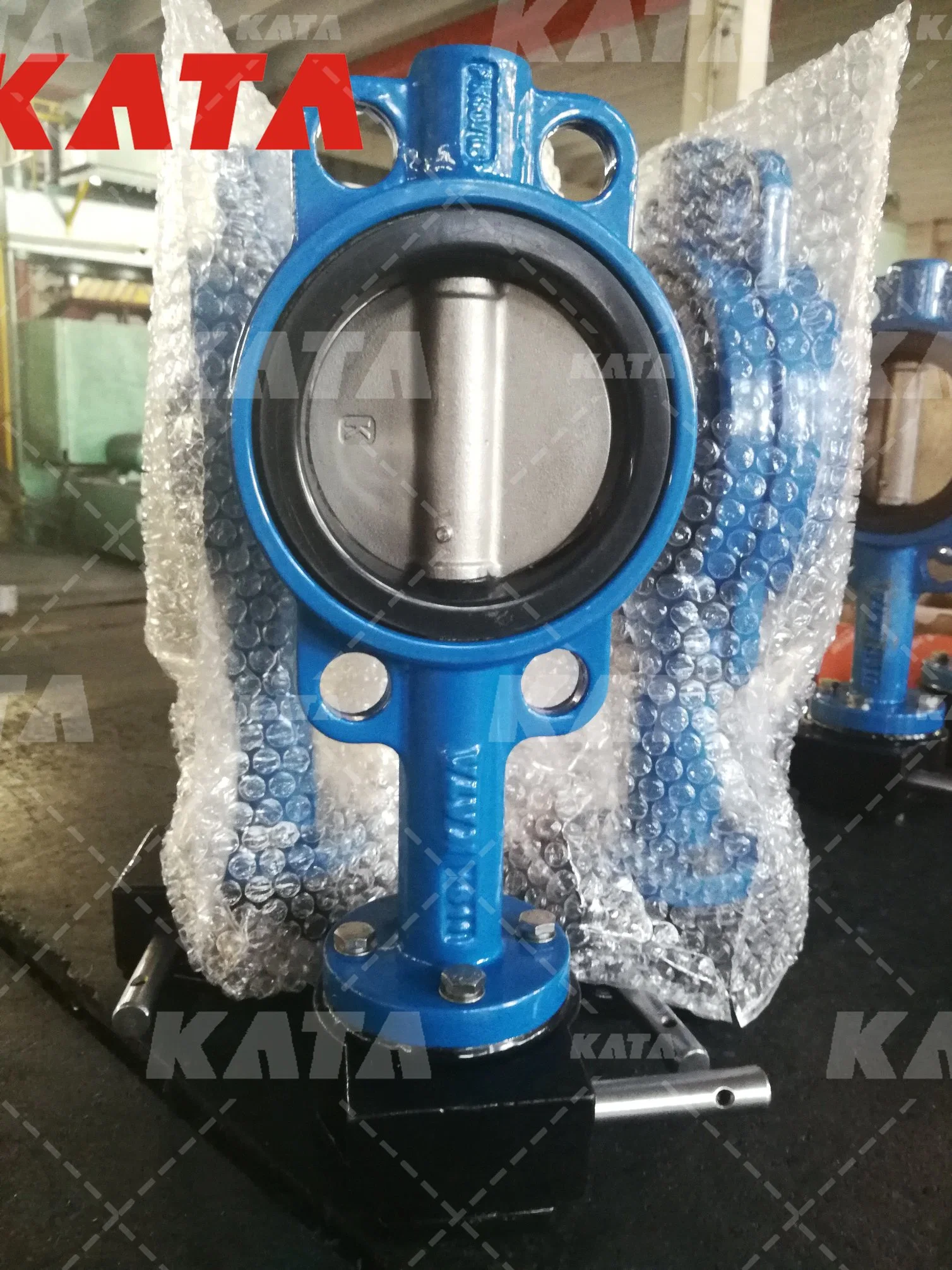 Gear Operator Soft Seat Lug Cast Iron Center Line Wafer Type Butterfly Valve