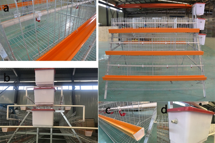 Poultry Farms Battery Cages Laying Hens, Egg Laying Chicken Coop for Sale