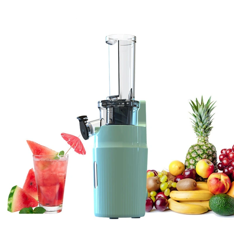 Sj-019 Multifunctional Product Cold Press Small Juice Extractor Slow Juicer Citrus Tomato Juicer