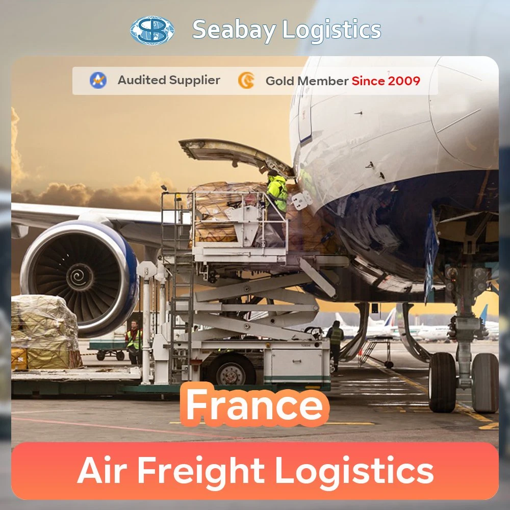 Yiwu Shipping Agent Service to France Fba Amazon or France Air Freight