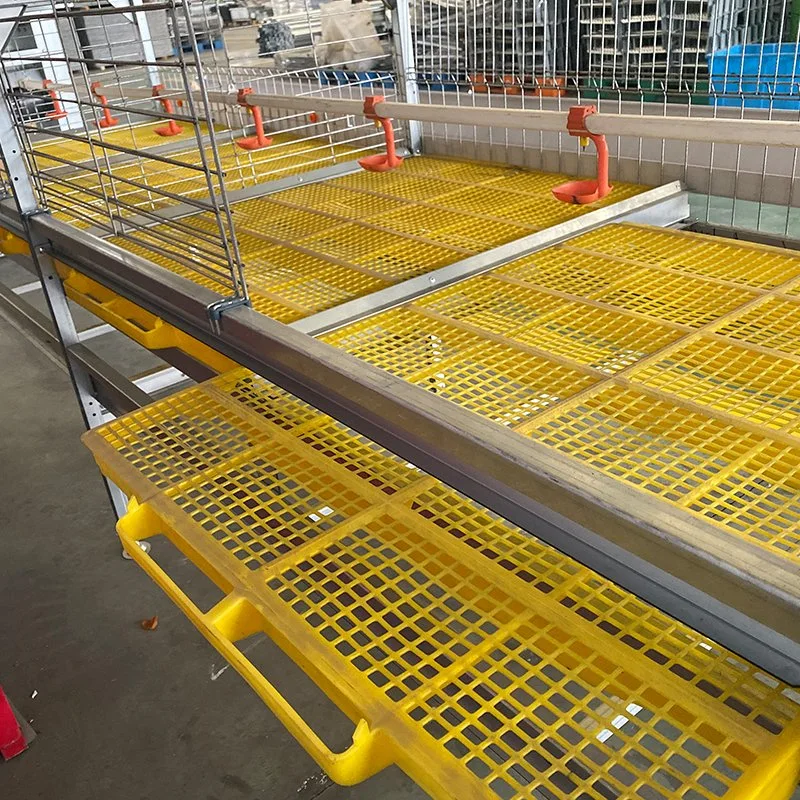 Cages de poulet intégrées TCA pour les éleveurs de poules systèmes automatisés fiables Élevage de volaille cage d'élevage de bétail matériel de volaille