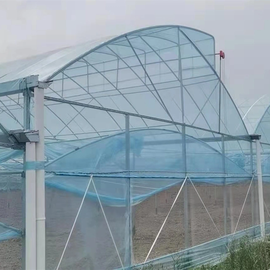 Instalación rápida de acero galvanizado en caliente el esqueleto Poly-Tunnel Casa Verde con techo cenital para una buena ventilación para las Verduras