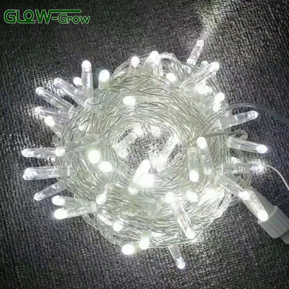 Commercial Grade IP65 Waterproof LED Wedding Light Christmas String Light with Flash Bulb 4+1 for Building Decoration