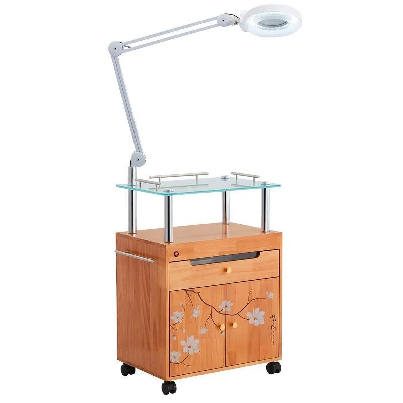 Hochey Medical Simple and Modern Hair Salon Shop Special Trolley Gold and Silver Stainless Steel Material