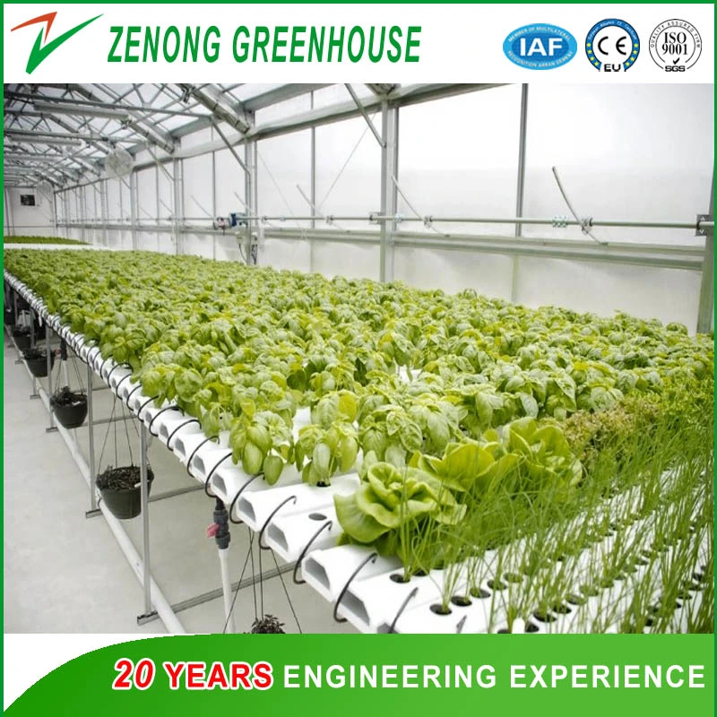 Insulation Greenhouse for Cold Area Planting Uses Energy Saving Greenhouse Double Arch Double Film Greenhouse