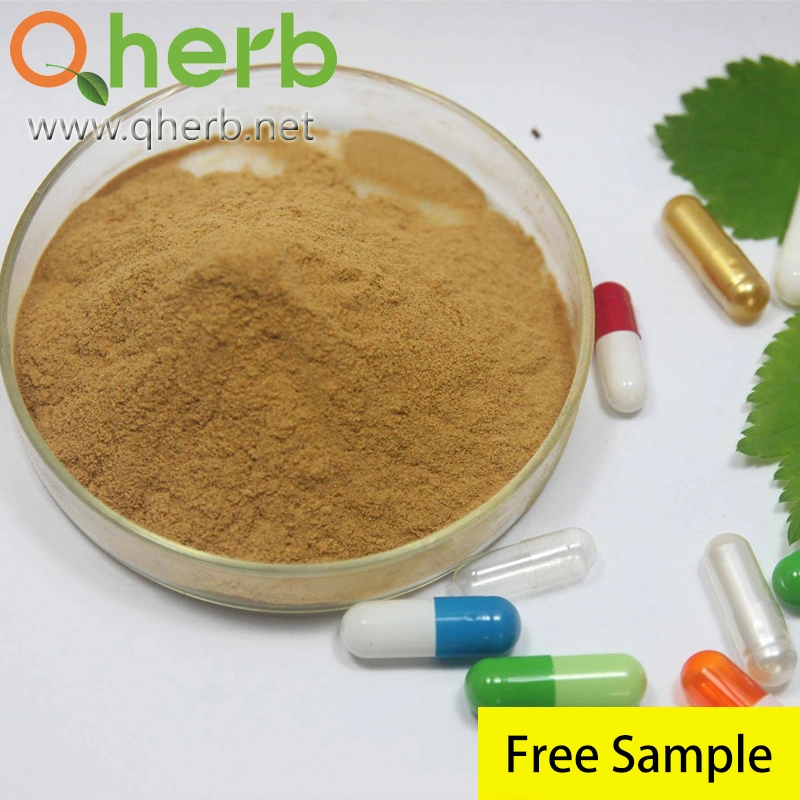 Ginkgo Biloba Extract Total Flavone Glycosides 24% Total Lactones 6% HPLC Free Sample