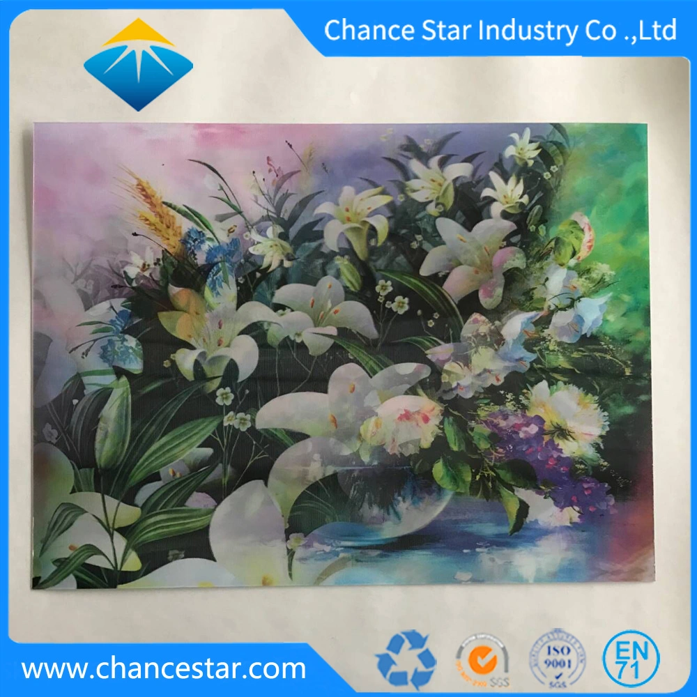 Custom 3D Lenticular Printing PP/Pet Vinyl Table Mat