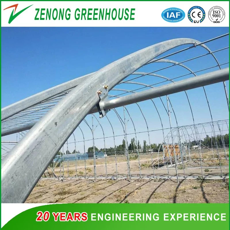 Factory Customized Cheap Solar Greenhouse with Heat Insulation Air Wall and Quilt for Season-off Vegetables/Tomatoes/Flowers/Hydroponics