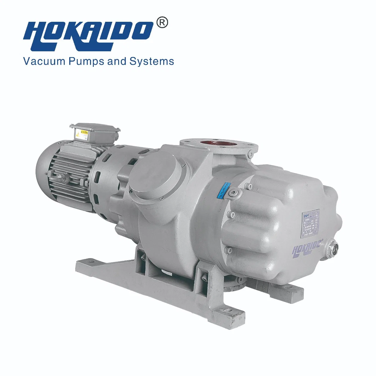 High Capacity Roots Vacuum Booster Pumps for Vacuum Distillation