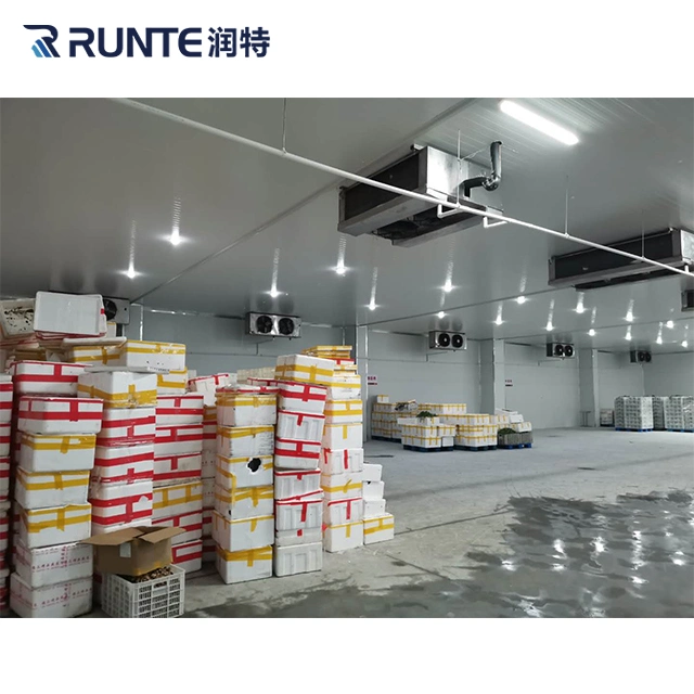 Runte Brand Industrial المتكاثفة الوحدة PU لوحة المشي في الثلاجة حجرة التجميد Air Blast Cold Room Storage for thuroat throat mat الأسماك المأكولات البحرية سابقة التجهيز