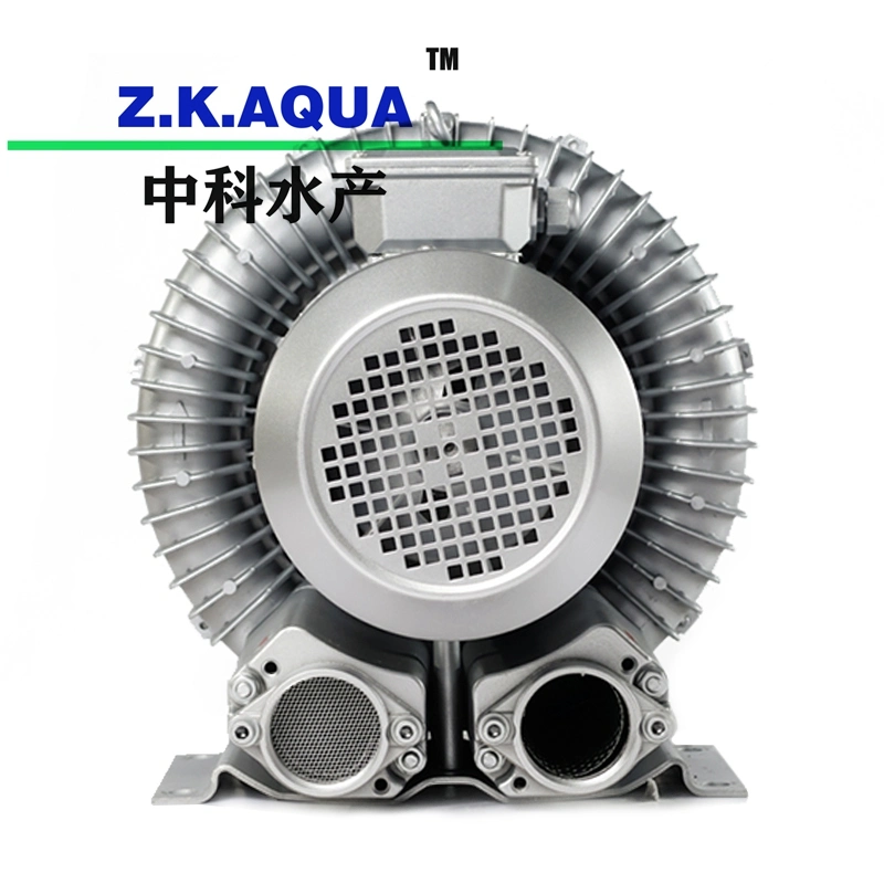 High quality/High cost performance Fish Breeding Blower with Ras