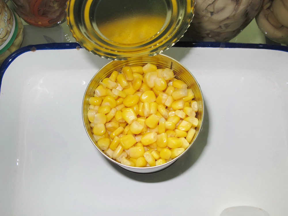 Canned Fresh Sweet Corn Food From New Season