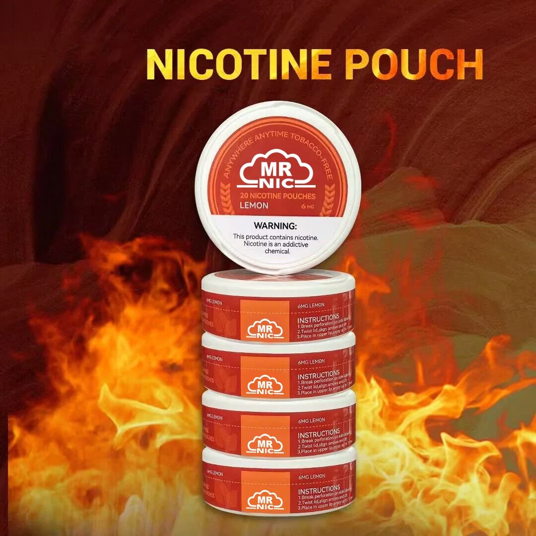 Wholesale Snus Tabacco Free Synthetic Nicotine White Pouches