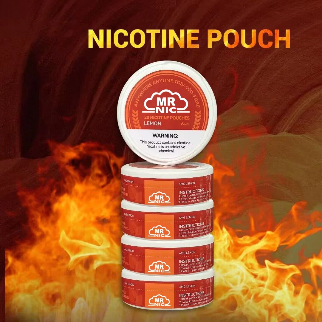 Wholesale/Supplier Snus Tabacco Free Synthetic Nicotine White Pouches