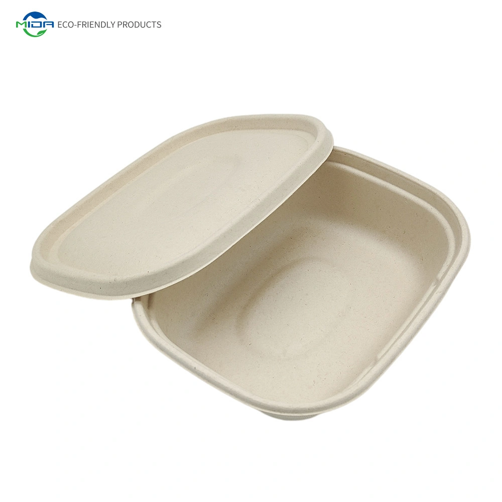 11000ml Einweg biologisch abbaubare Bagasse Take Away Food Container Zellstoffverpackung Lunchbox Burger Box Kompostierbares Einmal-Geschirr